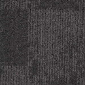 Facer · 3007